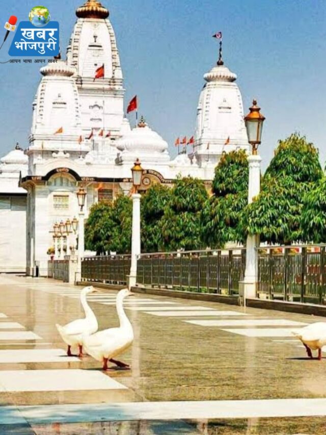 WhatsApp Image 2025-01-14 at 7.55.12 AM (2)