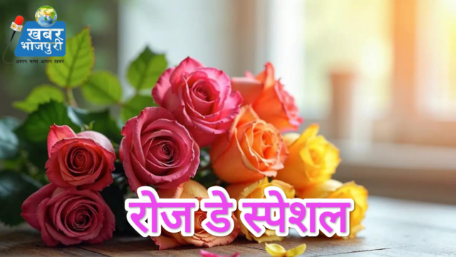 रोज डे स्पेशल