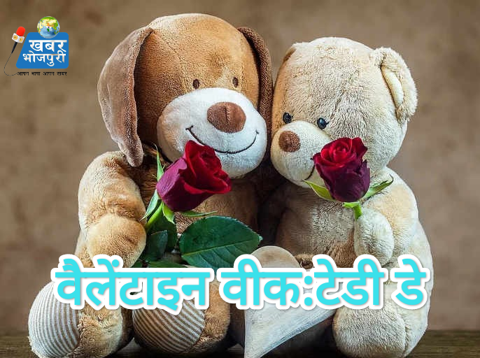 वैलेंटाइन वीक:टेडी डे