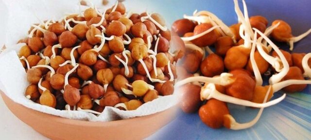 लाइफस्टाइल: चना