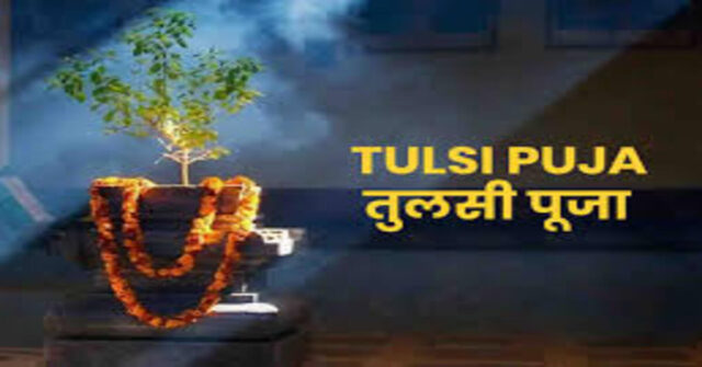 Tulsi Vivah 2025 Hindu ritual with decorated Tulsi plant and Shaligram in Kartik month