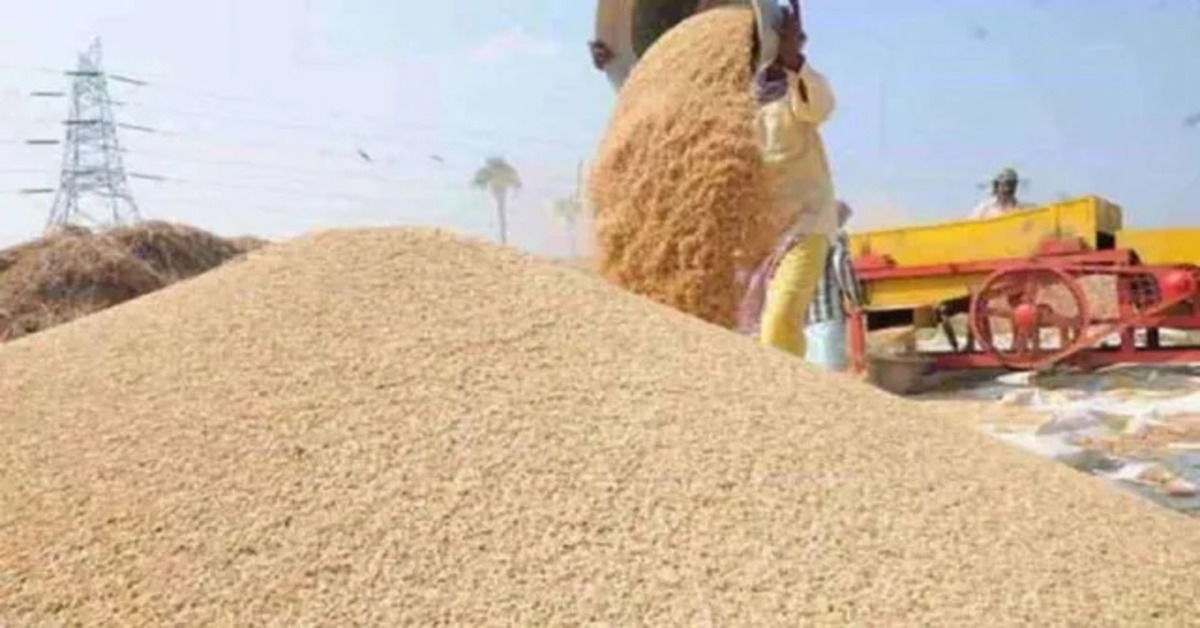 UP wheat procurement starts, farmers getting Rs 2585 per quintal MSP