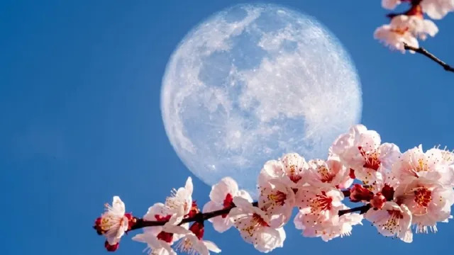May 2026 Flower Moon, Blue Moon and Planetary Alignment
