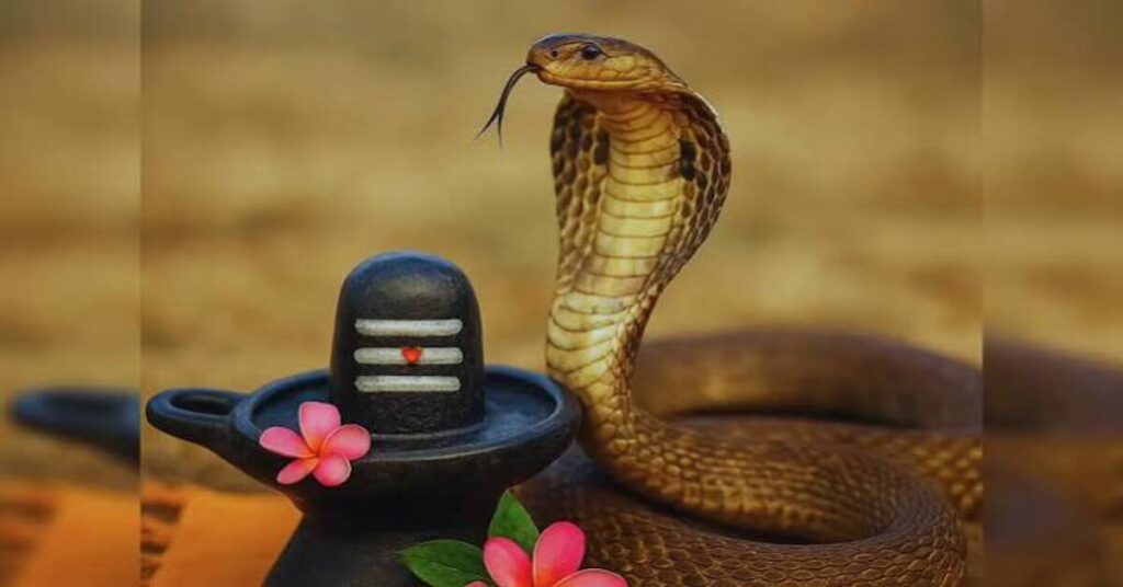 Nag Panchami 2026: Sawan Somwar Puja